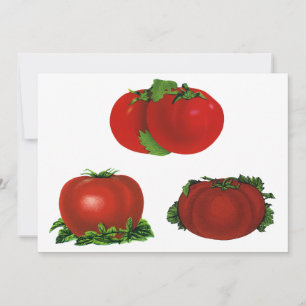 Tomates Rojos Maduros Vintage Comida, Frutas, Verd