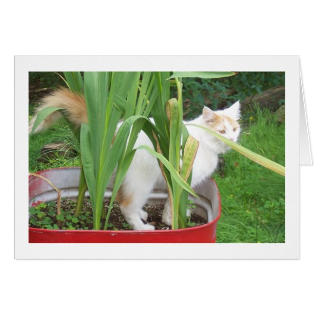 TOME TIEMPO PARA JUGAR QUE ES "TU CUMPLEAÑOS" (Anverso (Horizontal))