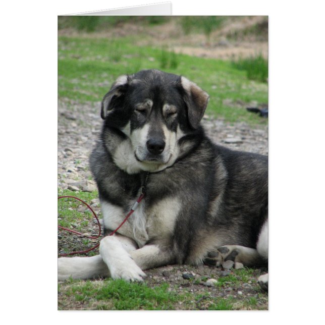 ¡Tómelo fácil! (Frente)