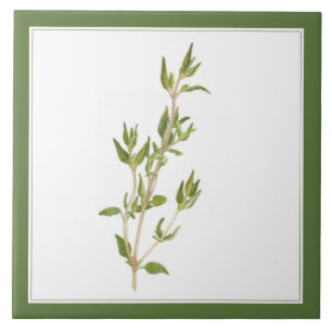 TOMILLO FRESCO Baldosa Cerámica 6x6 (-texto) Verde