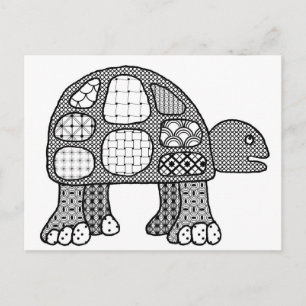 Tommy, la postal de la tortuga