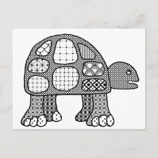 Tommy, la postal de la tortuga