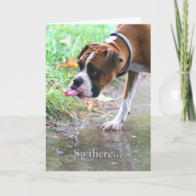 Tonga de perro de Boxer Silly Stictout Tarjeta De  (Anverso)