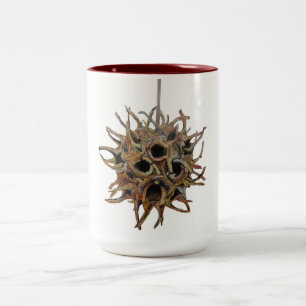 Tono de la vaina 2 de Sweetgum 15 onzas. taza (1