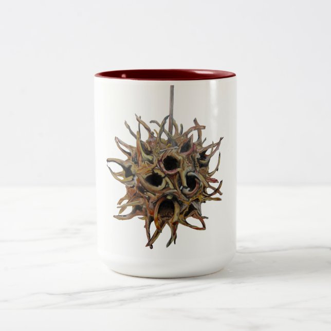 Tono de la vaina 2 de Sweetgum 15 onzas. taza (1 (Centro)