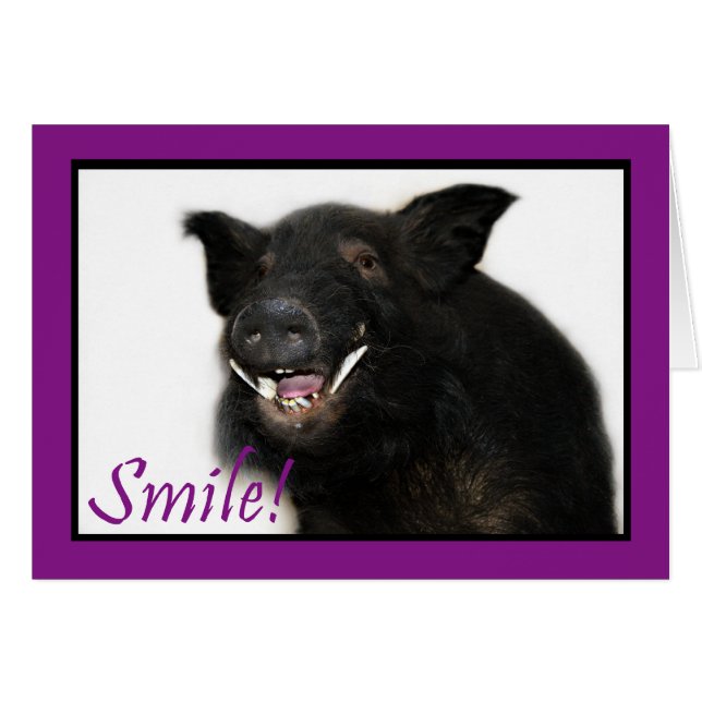 Toothy Hog Smile (Anverso (Horizontal))