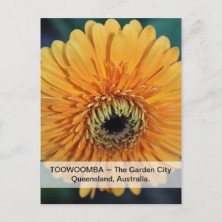 Toowoomba La Ciudad Jardín Tarjeta Postal