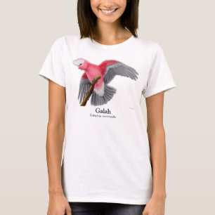 Top de los espaguetis del Cockatoo de Galah