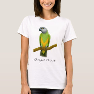 Top de los espaguetis del loro de Senegal