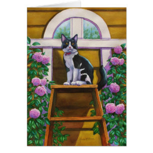 Top of the Ladder Tuxedo Cat