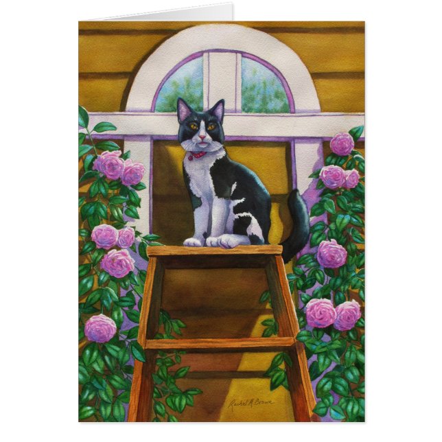 Top of the Ladder Tuxedo Cat (Frente)