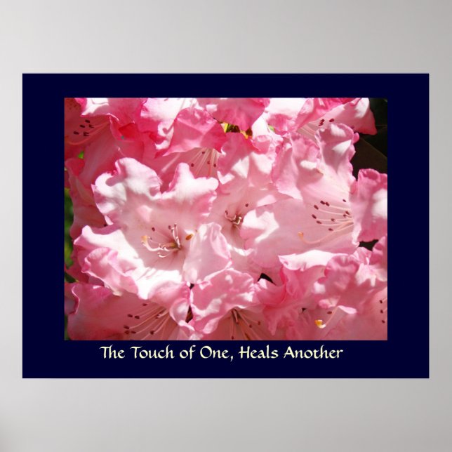 Toque de uno, Sana a otro impresión artística Rosa (Frente)