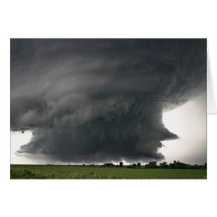 TORMENTA 4