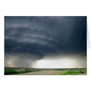 Tormenta 6