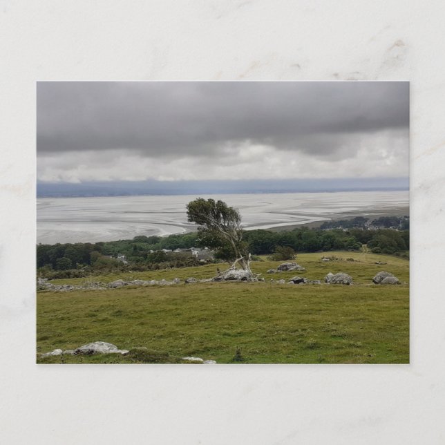 Tormenta a través de la postal de la bahía (Anverso)