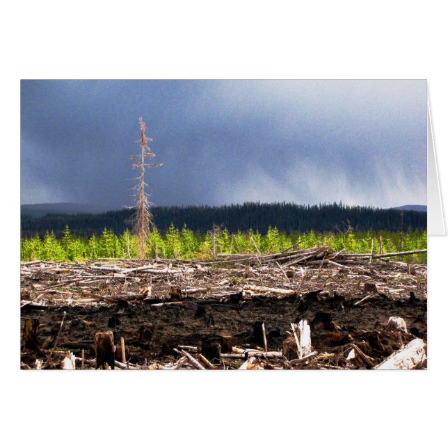 Tormenta de bloqueo (Anverso (Horizontal))