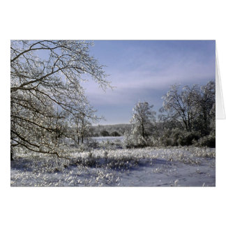 Tormenta de hielo 1