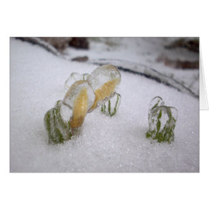 Tormenta de hielo 2003