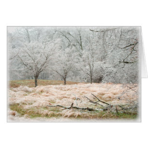 Tormenta de hielo Tennessee rural - fotografía