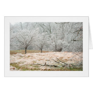 Tormenta de hielo Tennessee rural - fotografía