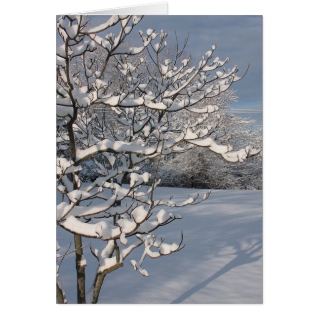Tormenta de invierno (Frente)