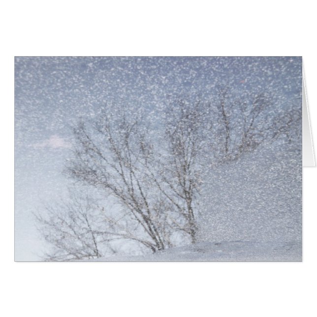 Tormenta de la nieve (Anverso (Horizontal))