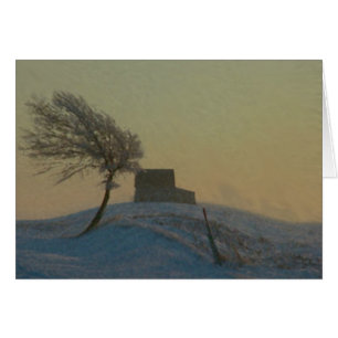 Tormenta de la nieve de Illinois