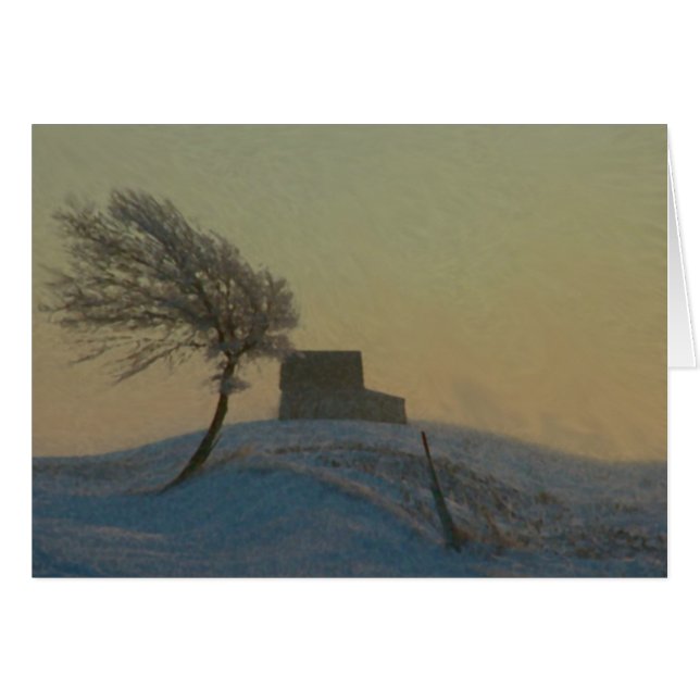 Tormenta de la nieve de Illinois (Anverso (Horizontal))