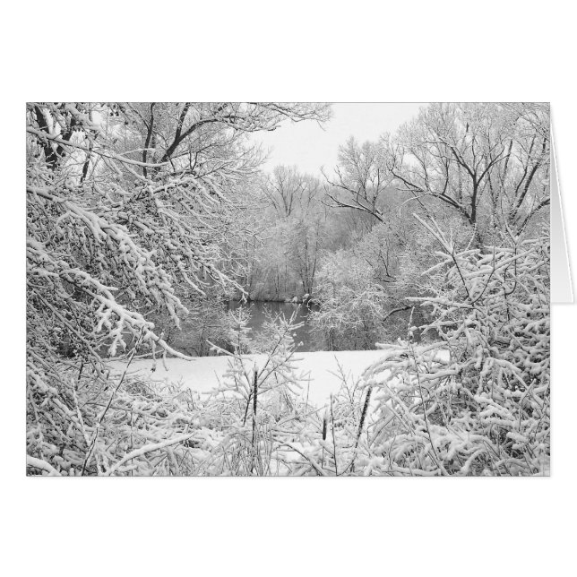 Tormenta de nieve (Anverso (Horizontal))