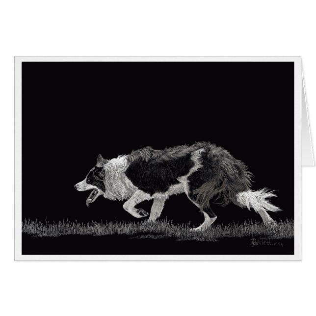 Tormenta el color de la frontera (Anverso (Horizontal))