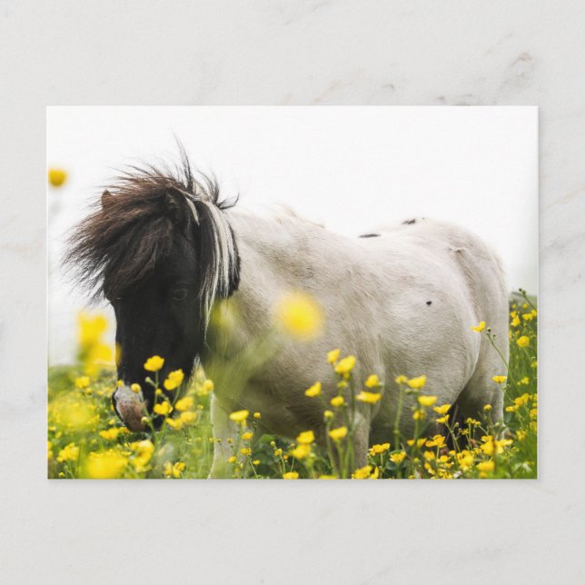 Tormenta en una postal (Anverso)