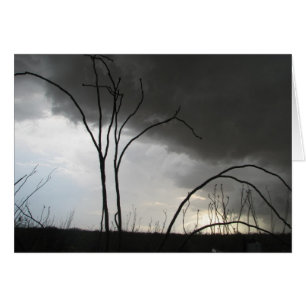Tormenta entrante