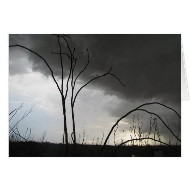 Tormenta entrante (Anverso (Horizontal))