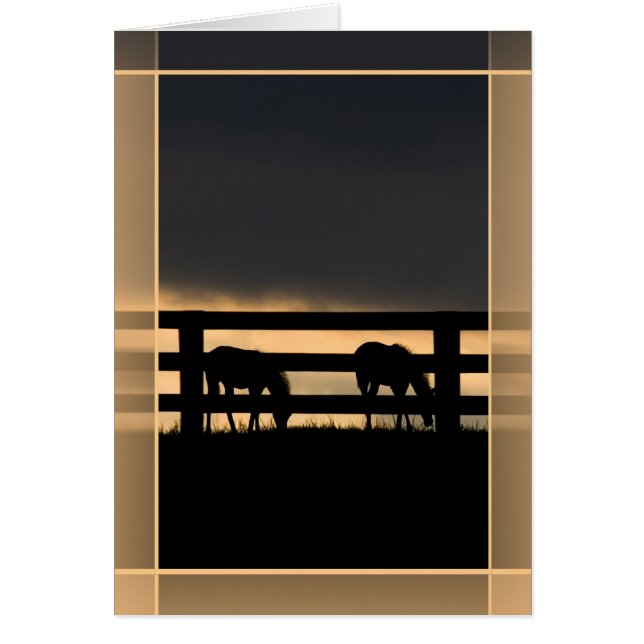 Tormenta entrante de Stallion Farm (Frente)