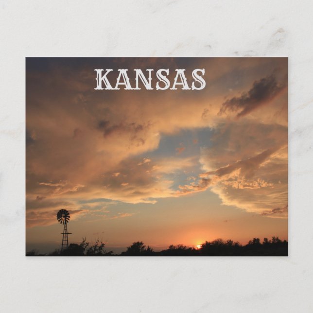 Tormenta los cielos con la TARJETA DE ENTRADA DE W (Anverso)