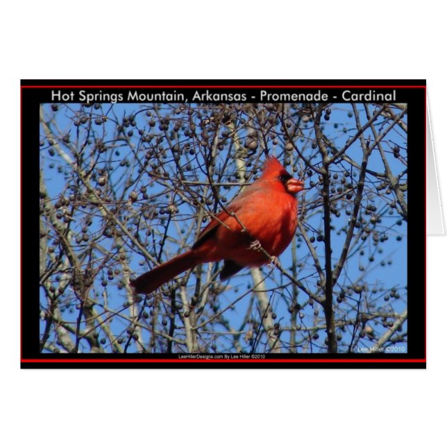 Torneos de montaña Hot Springs Promenade Cardinal  (Anverso (Horizontal))