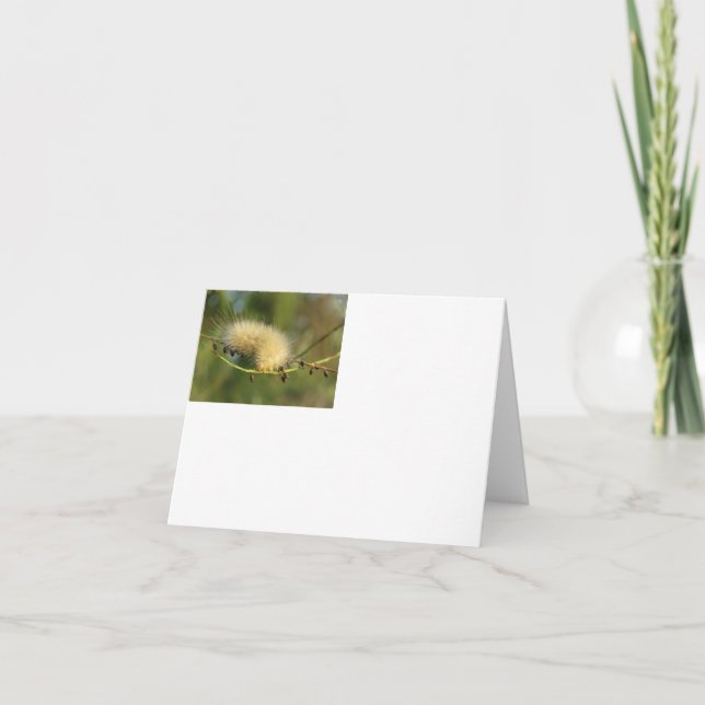 Tornillo amarillo difuso - Tarjeta de nota en blan (Anverso)