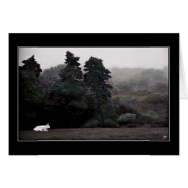 Toro blanco contra una carta forestal pintada