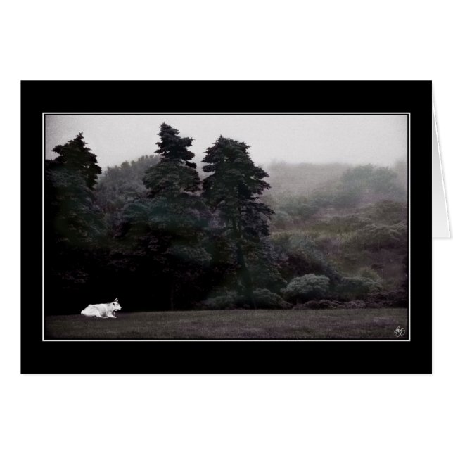 Toro blanco contra una carta forestal pintada (Anverso (Horizontal))