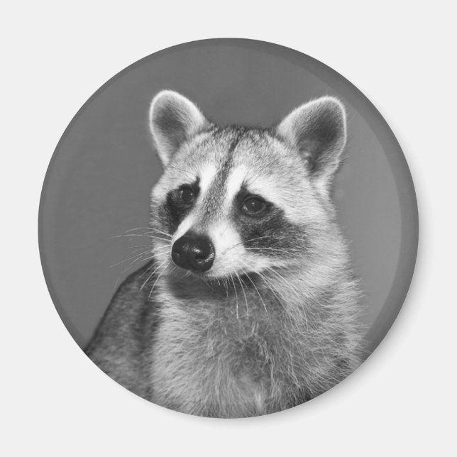 toro de imán (Frente)