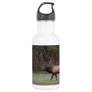 Toro Elk Morning Walk Botella de agua de acero ino