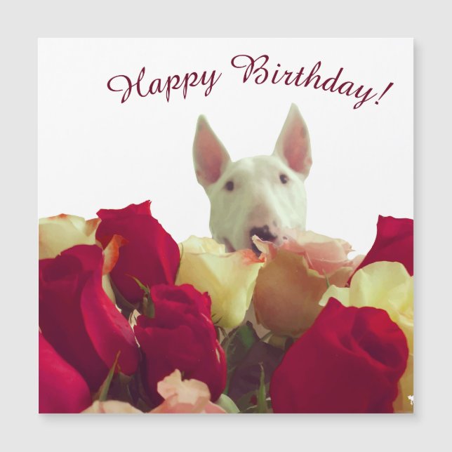 Toro terrier con rosas - ¡Feliz cumpleaños! (Anverso)