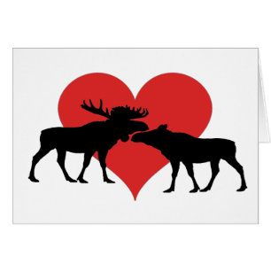 toro y vaca de los alces