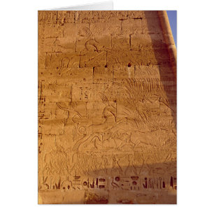 Toros salvajes de búsqueda de Ramesses III