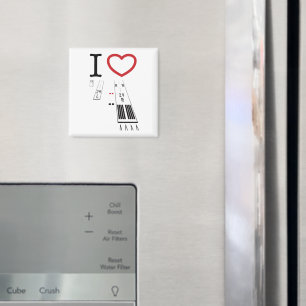 Torrance Airport Runways 29L y 29R - imán