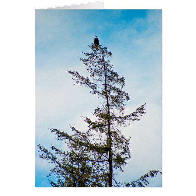 Torre Watch (Frente)