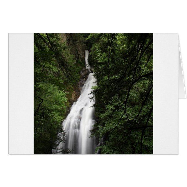 Torrente blanco de cascada (Anverso (Horizontal))