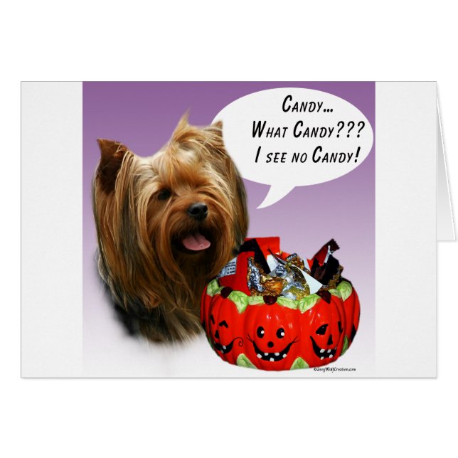 Torrente de Yorkshire Halloween Candy (Anverso (Horizontal))