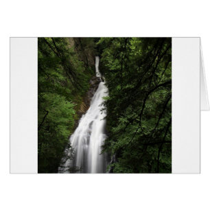 Torrente que fluye blanco de la cascada