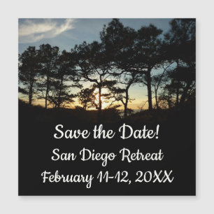 Torrey Pine Sunset II California